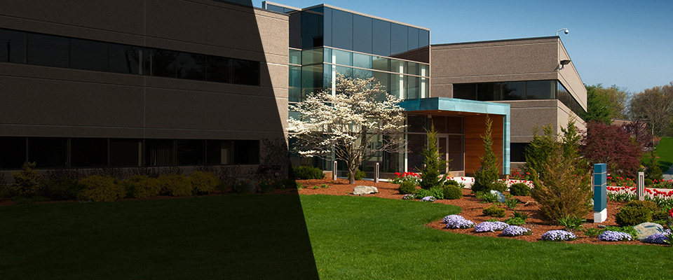 Moorestown Landscapers