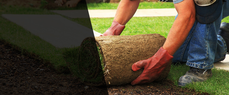 Moorestown Landscapers